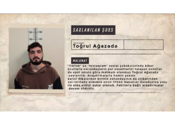 Naxçıvanda polis sosial şəbəkələrdə dələduzluq edən şəxsi saxlayıb