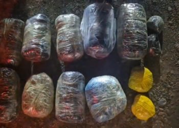 Biləsuvarda polis əməliyyat keçirdi – narkotik vasitə və silah-sursat aşkarlandı