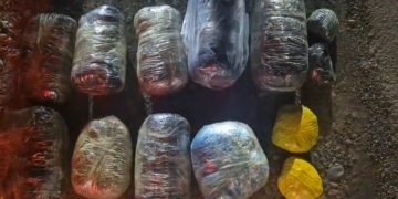 Biləsuvarda polis əməliyyat keçirdi – narkotik vasitə və silah-sursat aşkarlandı