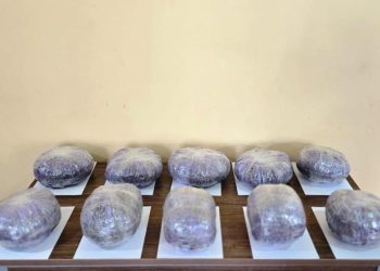 Narkotik vasitələrin ölkə ərazisinə keçirilməsinin qarşısı alınmışdır-DSX