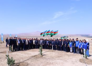 Müşfiqabad qəsəbəsində ağacəkmə aksiyası keçirilib(FOTOLAR)