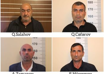 Salyanda narkotik tərkibli bitkilər yetişdirən 4 nəfər saxlanılıb-DİN