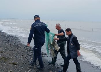 Balıq ovuna tətbiq edilmiş moratoriumla əlaqədar nəzarət tədbirləri keçirilib