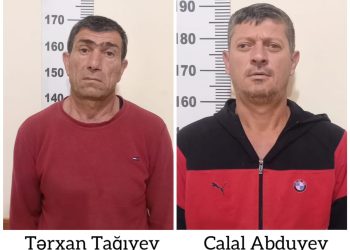 Yevlaxda çətənə kolu əkən şəxslər saxlanılıblar-DİN