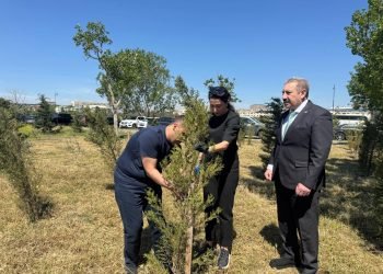 Ümummilli Lider Heydər Əliyevin anadan olmasının 102-ci ildönümü münasibətilə ağacəkmə aksiyası təşkil edilib