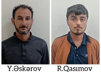 Neftçalada kommunikasiya naqilləri oğurlayan iki nəfər saxlanılıb