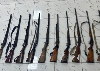 Astarada qanunsuz saxlanılan 10 ədəd silah aşkarlanıb