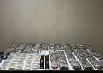 Külli miqdarda narkotik vasitənin ölkə ərazisinə keçirilməsinin qarşısı alınmışdır-DSX