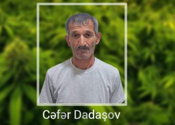 Yaşadığı evin həyətində narkotik tərkibli bitkilər yetişdirən şəxs saxlanılıb