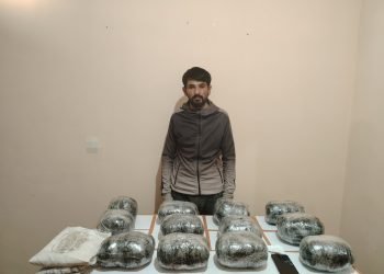 Külli miqdarda narkotik vasitənin ölkə ərazisinə keçirilməsinin qarşısı alınmışdır-DSX