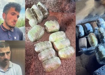 DİN BNMİ-dən növbəti əməliyyat: 24 kq narkotik vasitə aşkarlandı