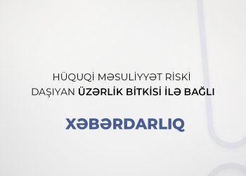 Hüquqi məsuliyyət riski daşıyan üzərlik bitkisi ilə bağlı xəbərdarlıq