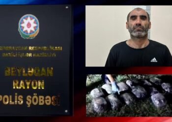 Beyləqanda polis 16 kiloqram marixuana və həşiş aşkarladı