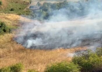 Xocavənddə yanğına səbəb olan şəxslər saxlanılıb