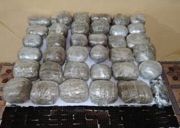 Külli miqdarda narkotik vasitənin ölkə ərazisinə keçirilməsinin qarşısı alınmışdır-DSX