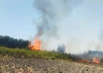 Sabirabadda yanğın törədən şəxs məsuliyyətə cəlb edilib