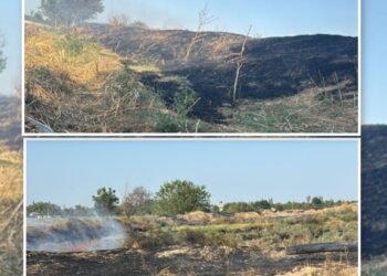 Ağdamda əkin sahəsində yanğın törədən şəxs saxlanılıb