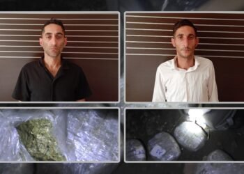 Yardımlıda polis çətin relyef şəraitində əməliyyat keçirdi – 6 kiloqram narkotik vasitə aşkarlandı