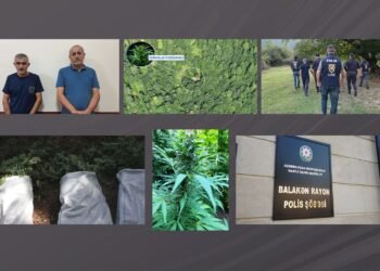 Balakəndə polis dağlarda əməliyyat keçirdi, narkoplantasiya salan silahlı şəxslər tutuldu