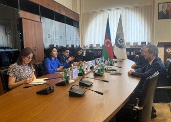 Ombudsman   Səbinə   Əliyeva   professor   Ergin   Ergül   və   Mediasiya   Şurasının   İdarə Heyətinin sədri Nadir Adilovla görüşüb