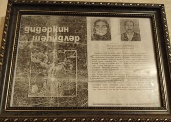 Ana Cəbhəyə Gedəndə…”- Vüsal Başaratvi