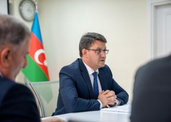 “Ekoloji məsələlər” üzrə Alt İşçi qrupun növbəti iclası keçirilib
