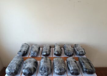 Külli miqdarda narkotik vasitənin ölkə ərazisinə keçirilməsinin qarşısı alınmışdır