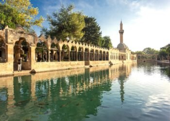 Bu payız Şanlıurfada dünyanın ən qədim Neolit irsini kəşf edin