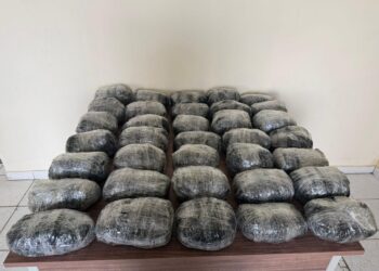 Külli miqdarda narkotik vasitənin ölkə ərazisinə keçirilməsinin qarşısı alınmışdır