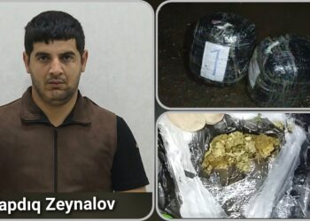 Astarada polis əməliyyat keçirdi, narkokuryerdən 8 kiloqram marixuana aşkarlandı