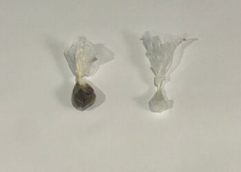 CƏZAÇƏKMƏ MÜƏSSİSƏSİNƏ NARKOTİK VƏ PSİXOTROP MADDƏLƏRİN KEÇİRİLMƏSİNİN QARŞISI ALINIB