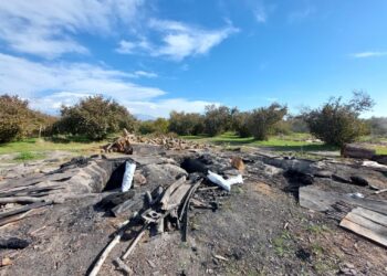 Oğuzda qanunsuz kömür quyuları aşkarlanıb