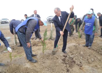 Hacıqabulda Yeni Azərbaycan Partiyasının təsis edilməsinin 33 illiyi münasibəti ilə ağacəkmə aksiyası keçirildi(FOTOLAR)