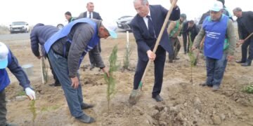 Hacıqabulda Yeni Azərbaycan Partiyasının təsis edilməsinin 33 illiyi münasibəti ilə ağacəkmə aksiyası keçirildi(FOTOLAR)