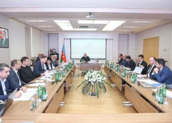 AzVİF İcraiyyə Komitəsinin növbəti iclası keçirilib