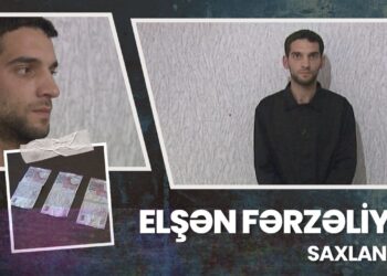 Göyçayda 3 evdən oğurluq edən şəxs həbs edildi