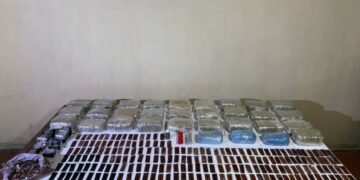 Narkotik vasitənin uçuş aparatı vasitəsilə ölkə ərazisinə keçirilməsinin qarşısı alınmışdır – DSX