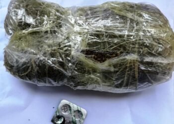 Ələtdə penitensiar xidmət polislə birgə əməliyyat keçirdi