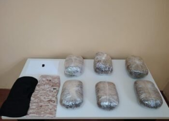 Narkotik vasitələrin ölkə ərazisinə keçirilməsinin qarşısı alınmışdır – DSX