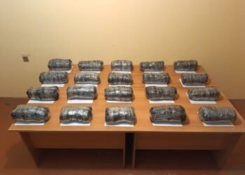 Külli miqdarda narkotik vasitənin ölkə ərazisinə keçirilməsinin qarşısı alınmışdır – DSX