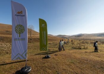 Daşkəsən rayonunda növbəti ekoloji aksiya təşkil edilib