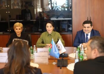 Ombudsman BMT-nin ölkəmizdəki rezident əlaqələndiricisini qəbul edib