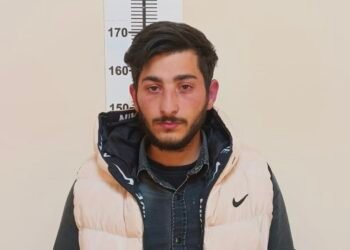 Şərur rayonunda evlərdən oğurluq edən şəxslər saxlanılıblar