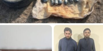 Narkotik vasitəni ölkə ərazisinə keçirməyə cəhd göstərən şəxslər saxlanılmışdır – DSX