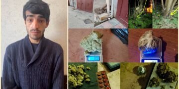 Yasamalda əməliyyat: 20 kq marixuana aşkarlandı