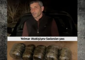 Ağcabədi rayonunda 10 kiloqram narkotik vasitə aşkarlanıb