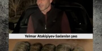 Ağcabədi rayonunda 10 kiloqram narkotik vasitə aşkarlanıb