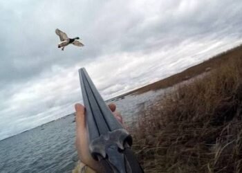 Ov mövsümünün müddəti  mart ayının 1-dək uzadılıb