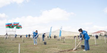 Müşfiqabadda ağacəkmə aksiyası keçirilib