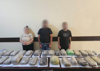 Külli miqdarda narkotik vasitənin ölkə ərazisinə keçirməsinin qarşısı alınmışdır